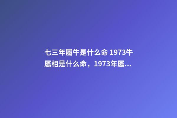七三年屬牛是什么命 1973牛屬相是什么命，1973年屬牛是什么命運-第1張-觀點-玄機派